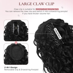ZQIAN BEAUTY ponytail with ombre highlights offers versatile color play.