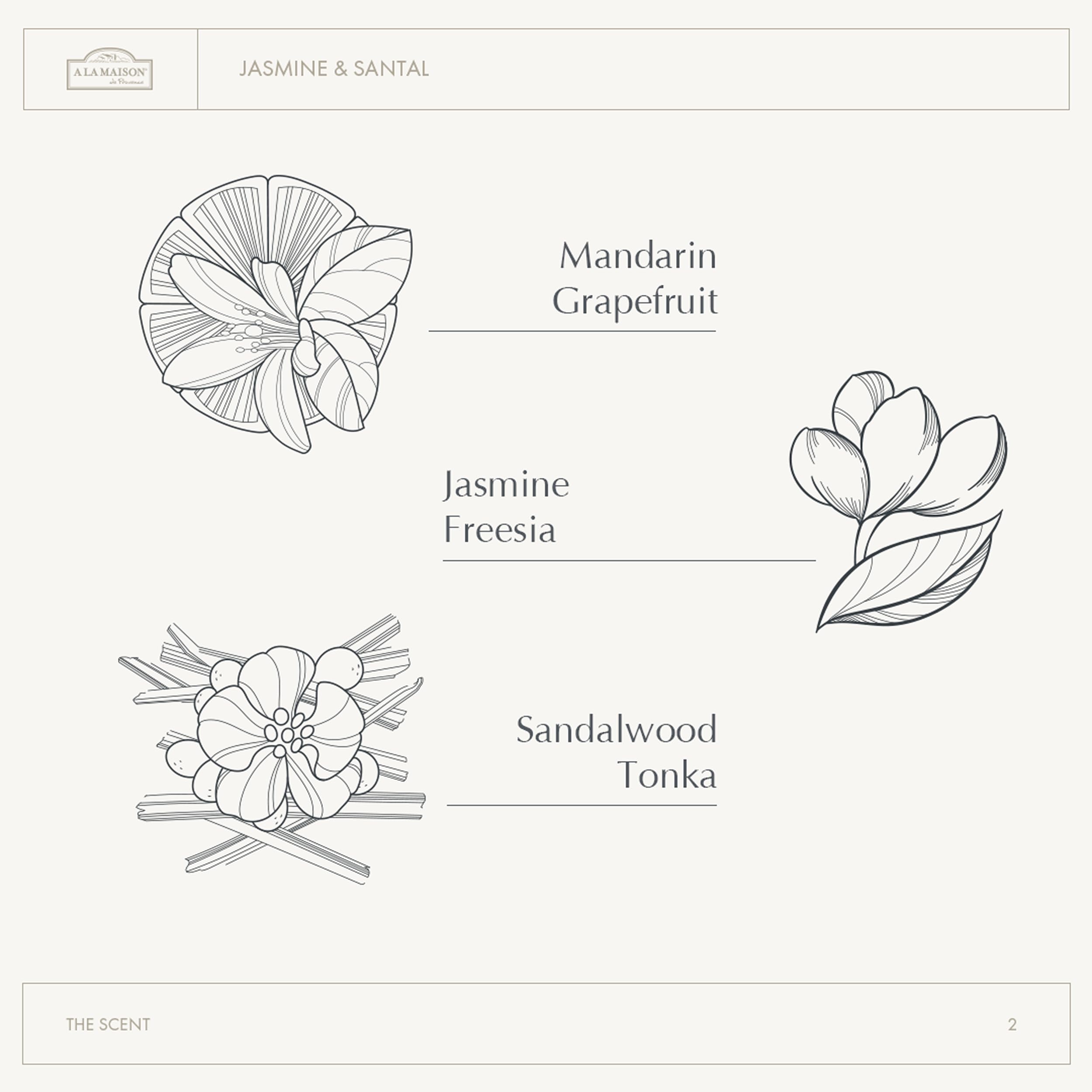 A LA MAISON Body Crème daily indulgence after bath or anytime you crave hydration.