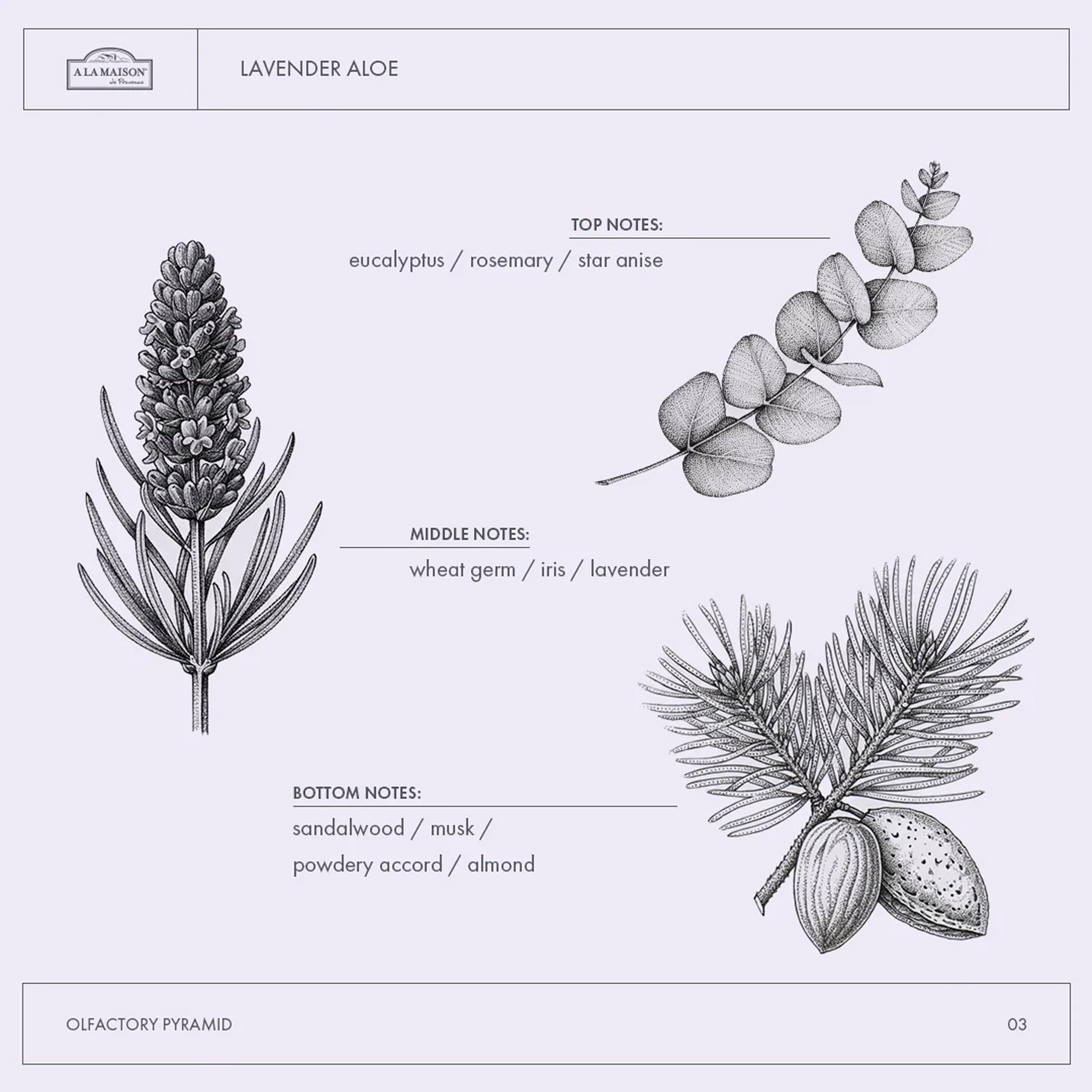 A La Maison Lavanda Aloe, presentación de dos frascos para uso familiar.