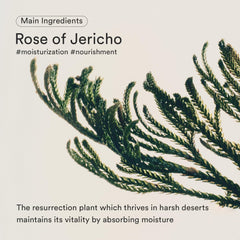 Textura semiemulsión de Abib Jericho Rose Bifida Serum, absorción rápida.