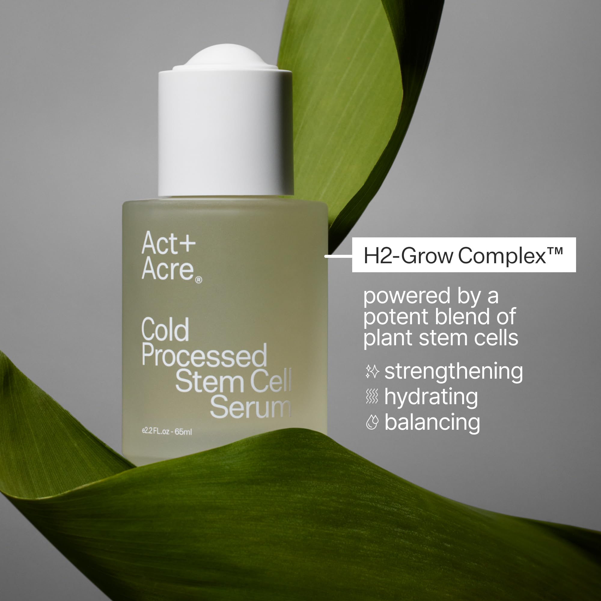 ACT+ ACRE nourished-scalp visual reflects comfort and renewal