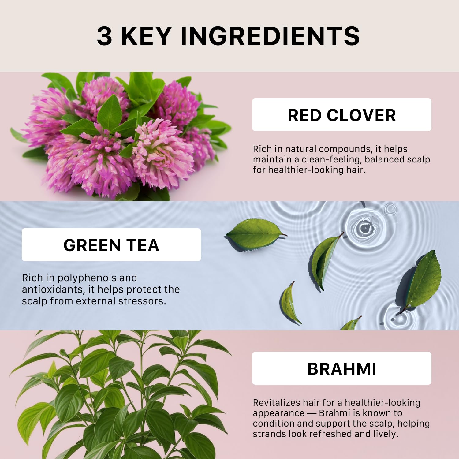 ACTIIV Recover thickening shampoo ingredients visual highlights plant-based, color-safe formula.