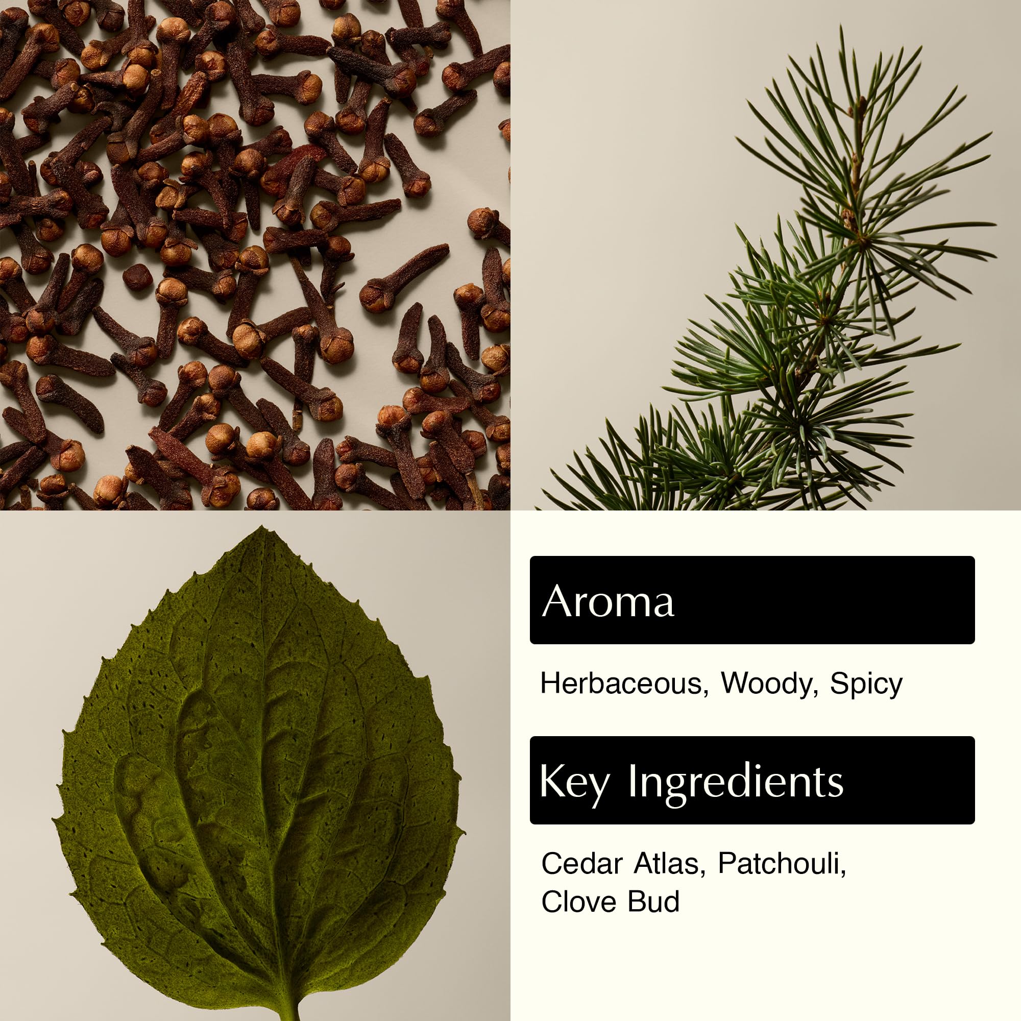 Aesop Eleos cleanser creating a creamy lather for daily use