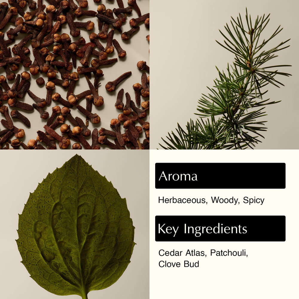 Aesop Eleos cleanser creating a creamy lather for daily use