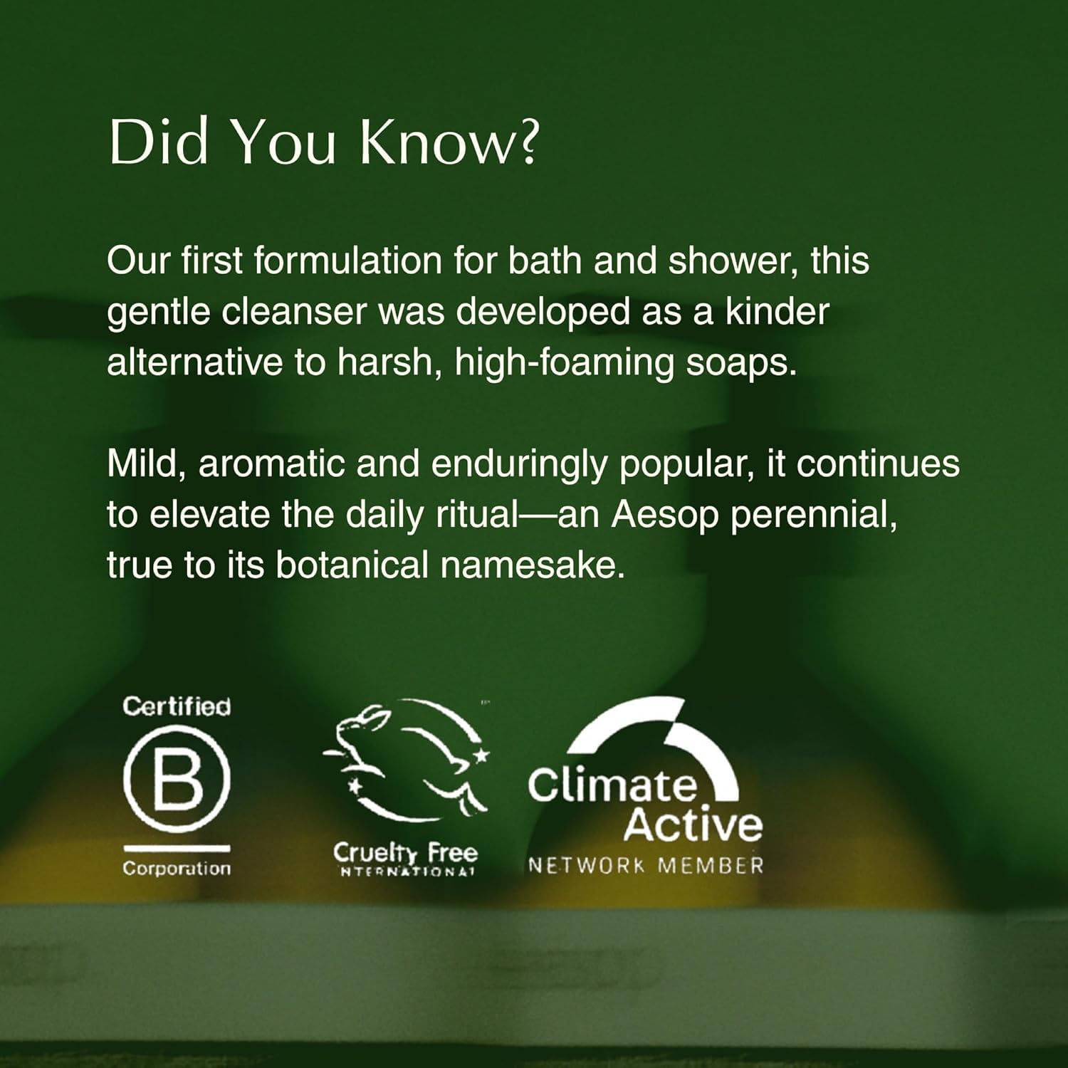 Aesop Geranium Leaf Body Cleanser refill usage scene illustrates easy refill for your shower routine