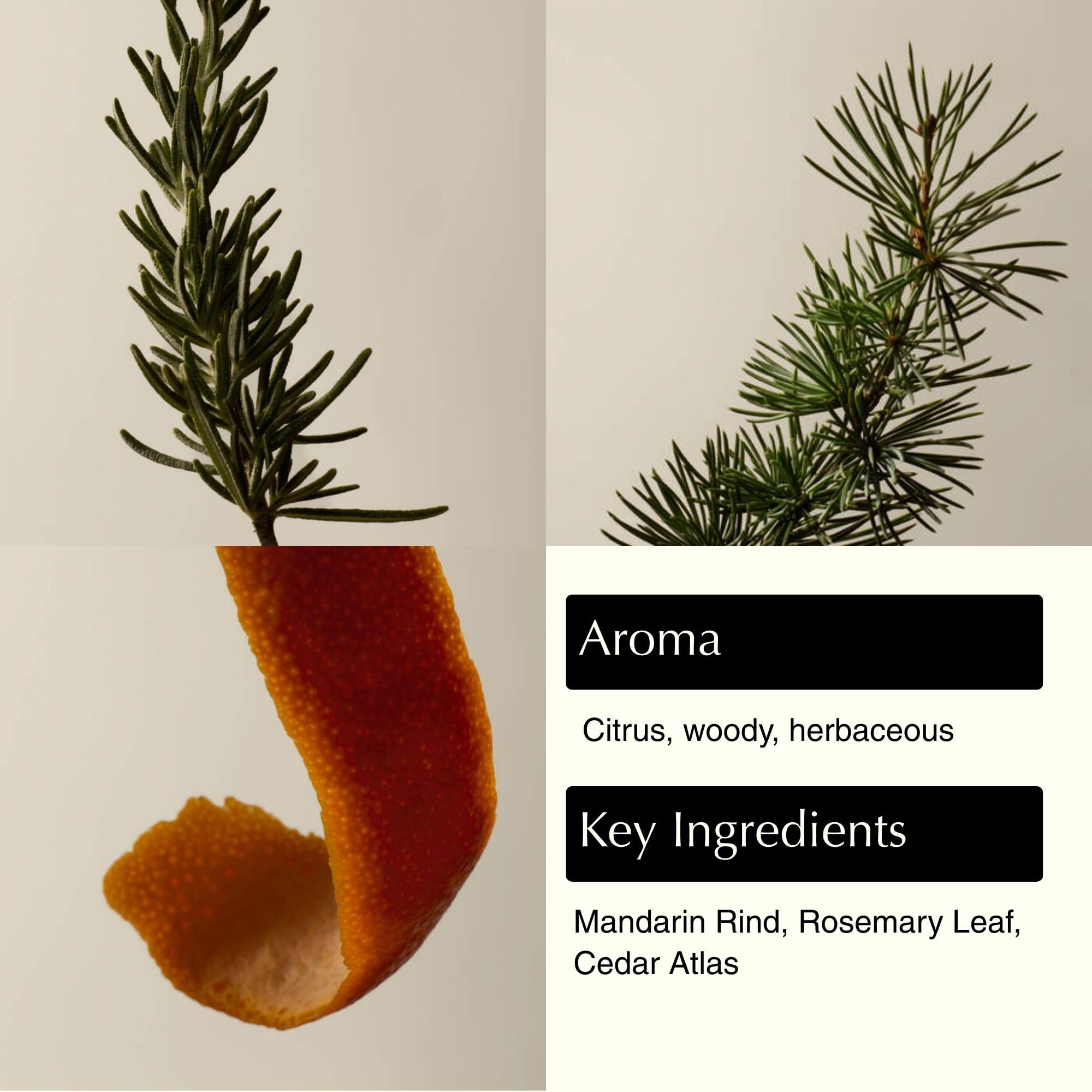 Aesop Resurrection mandarin rind ingredient close-up highlights bright essential oils for uplifting scent.