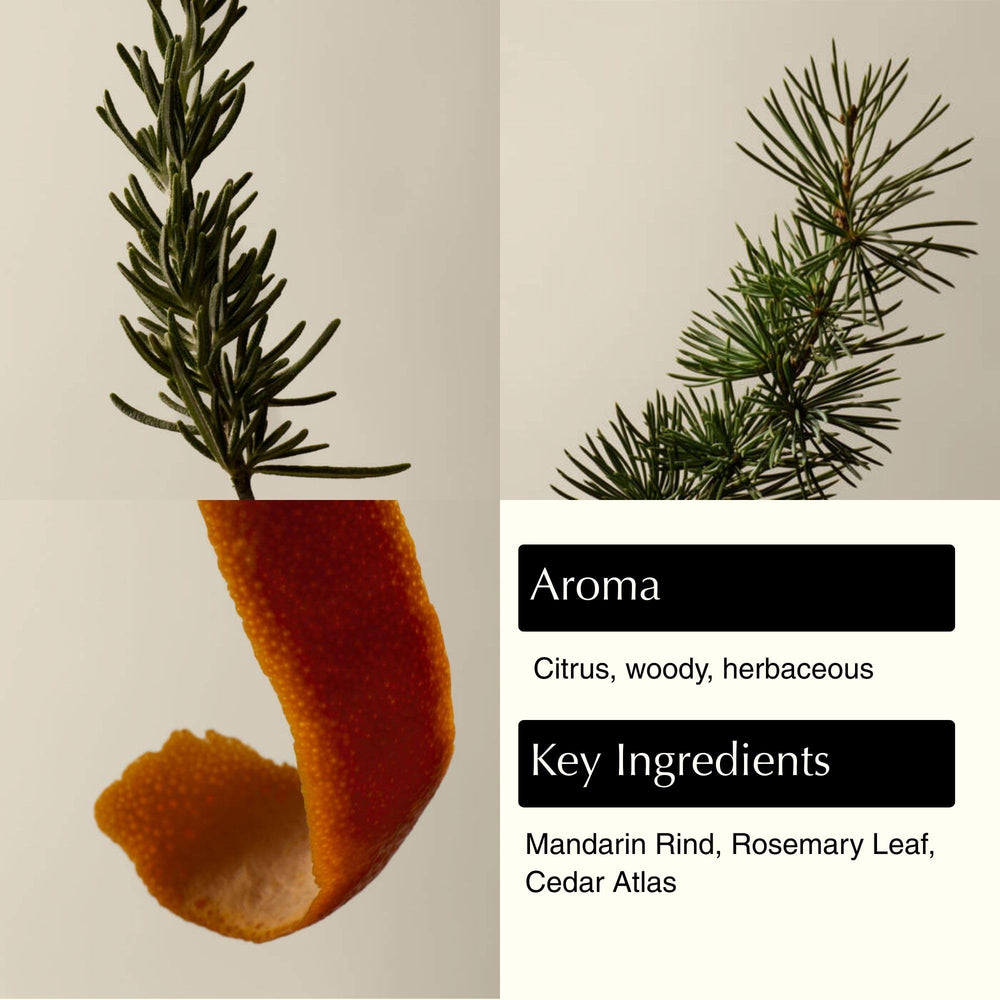 Aesop Resurrection mandarin rind ingredient close-up highlights bright essential oils for uplifting scent.