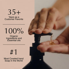 Aesop Resurrection rosemary leaf ingredient close-up presents herbal notes with soothing aroma.