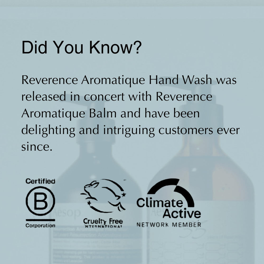 Aesop Reverence Exfoliating Hand Wash at sink ready for daily cleansing ritual.