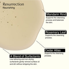 Reverence hand wash pumice detail, highlighting gentle exfoliation.