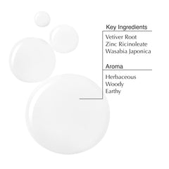 Close-up of Aesop ingredients panel featuring zinc ricinoleate and purifying extracts