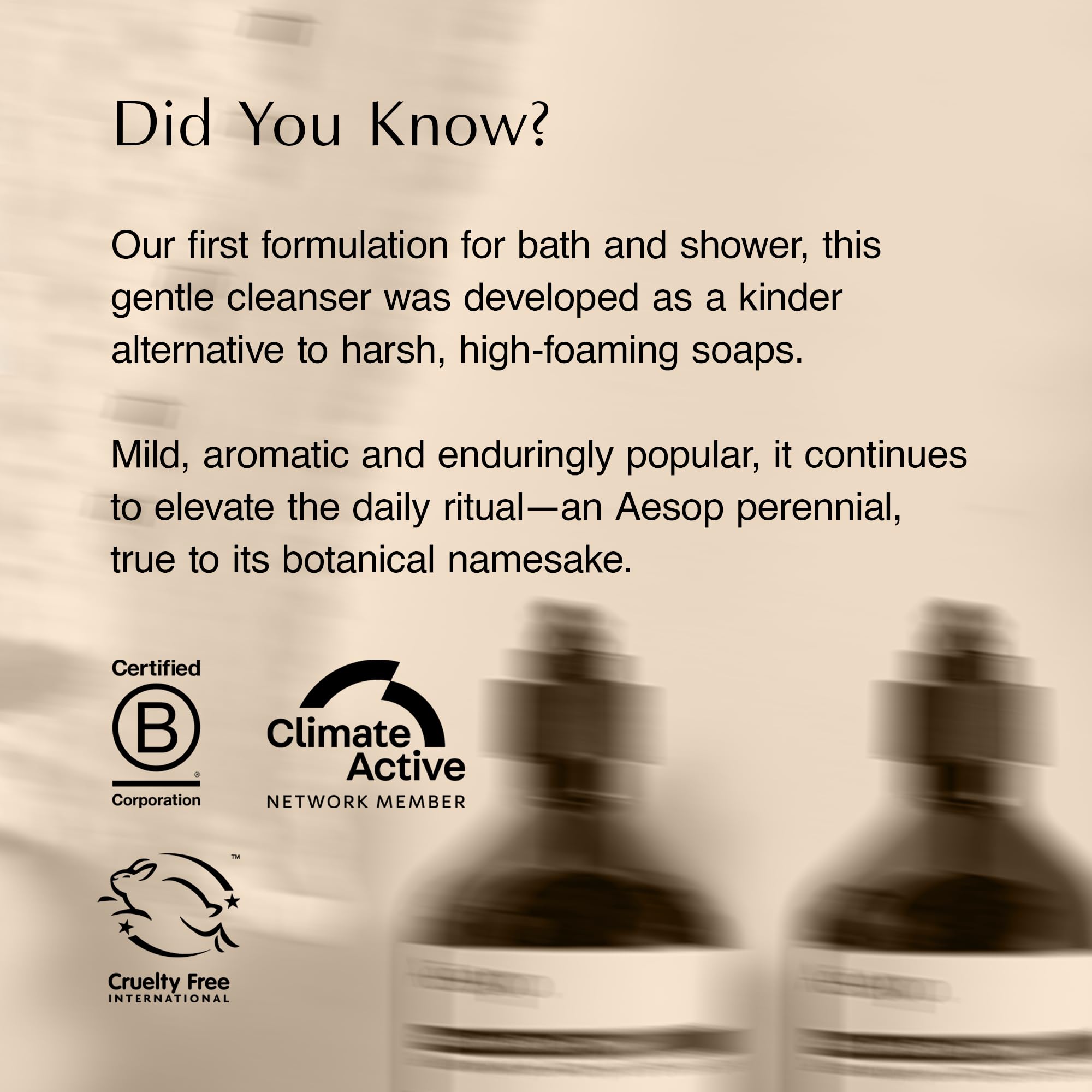 Inviting bathroom scene with Aesop Rose Cleanser ready for daily routine.