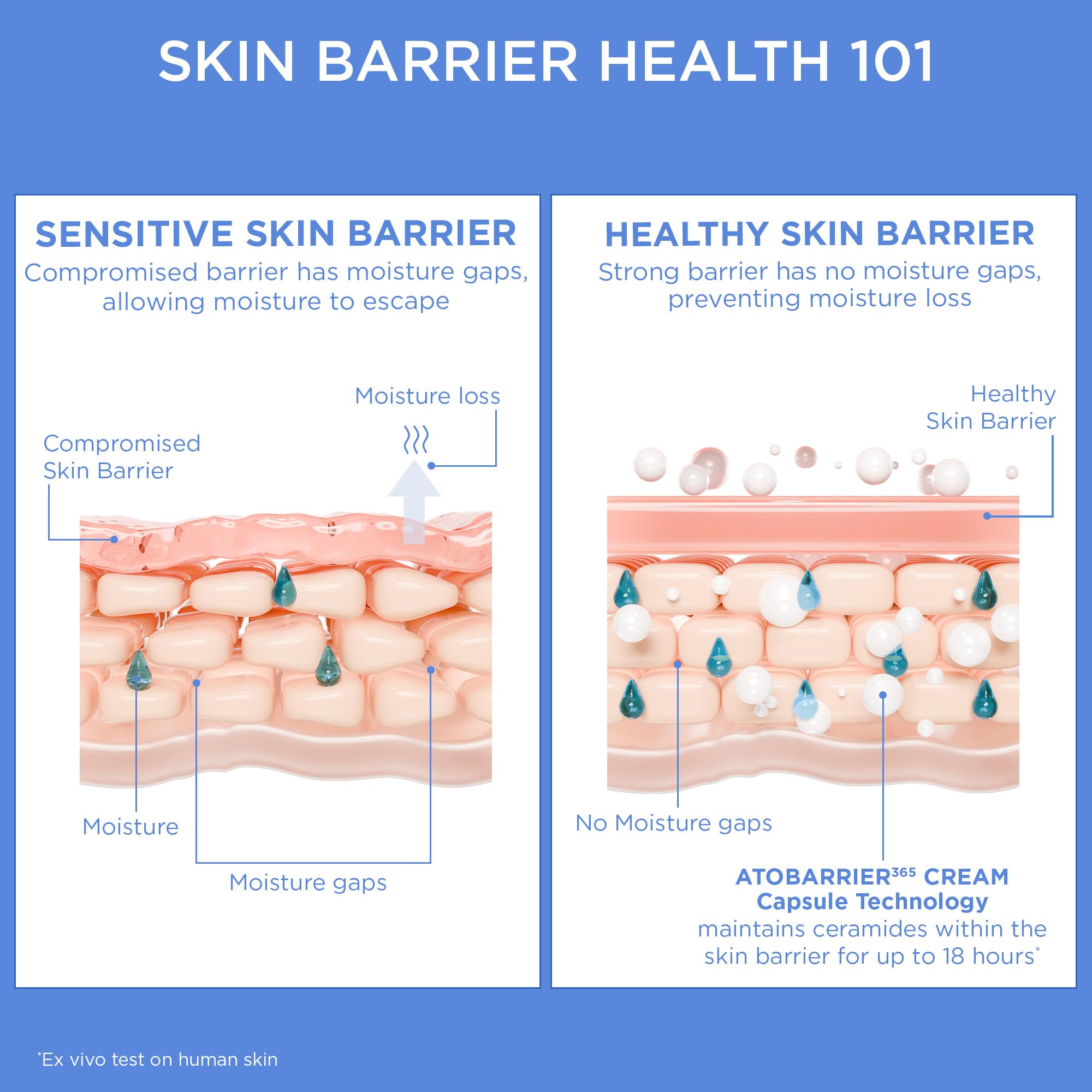 Fragrance-free label on AESTURA ATOBARRIER365 signals gentle care for sensitive skin