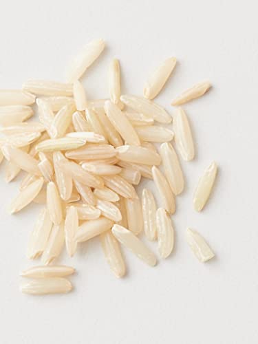 AG Care Curl Fresh Shampoo packaging emphasizes plant-based, vegan, sulfate-free care.