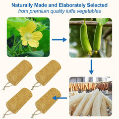 AhaTopia esponja lufa natural para ducha diaria y cuidado corporal