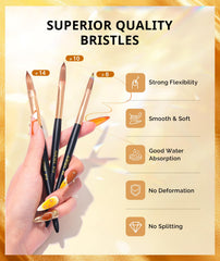 Airsee acrylic brush set with elegant black-gold handle for better grip.