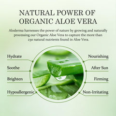 Cuidado del cabello y cuero cabelludo con gel de Aloe de Aloderma