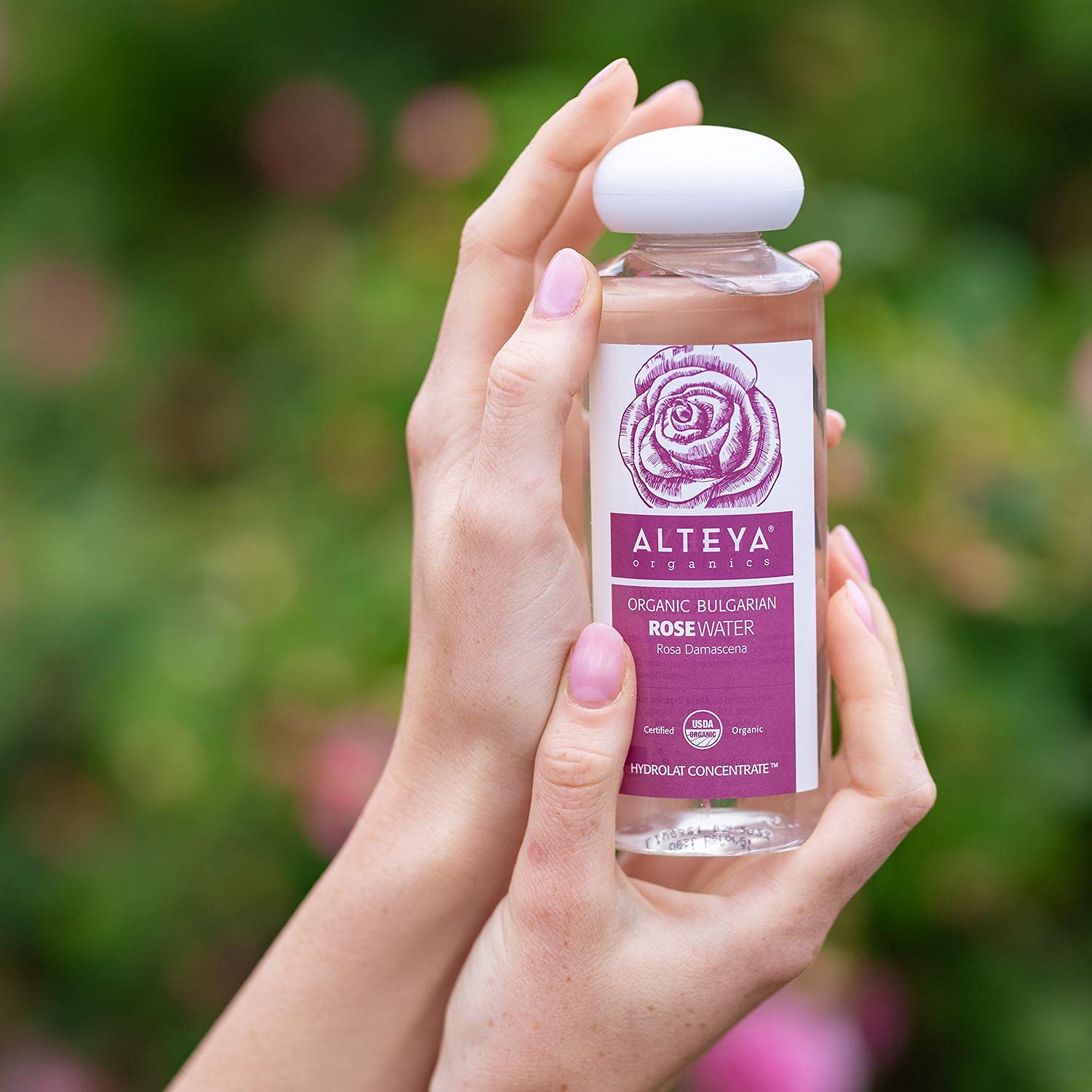 Rastreo completo: agua de rosas Alteya Organics.