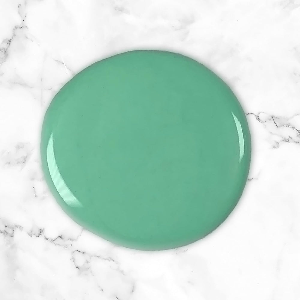 Amazon Basics Moisturizing Dandruff Shampoo aloe element close-up emphasizes moisturizing.