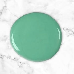 Amazon Basics Moisturizing Dandruff Shampoo aloe element close-up emphasizes moisturizing.