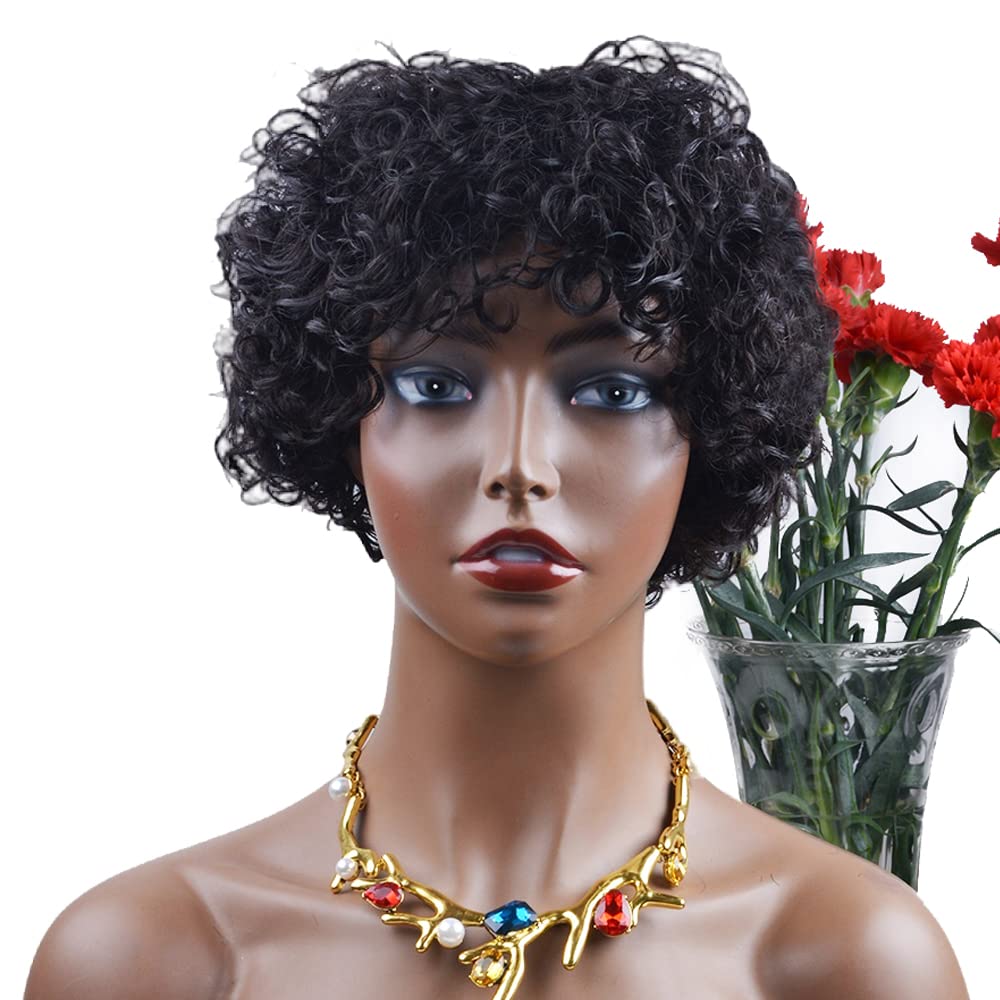 Amecire wig with adjustable cap 22-23 inches, comfortable daily wear