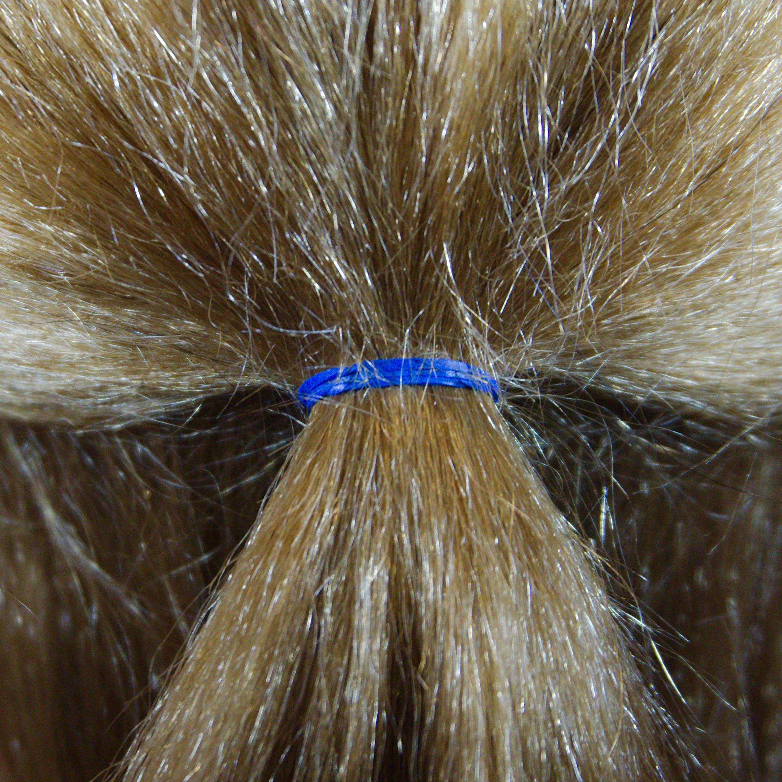 Amelia Beauty pony-tail-use hair ties securing a sleek ponytail