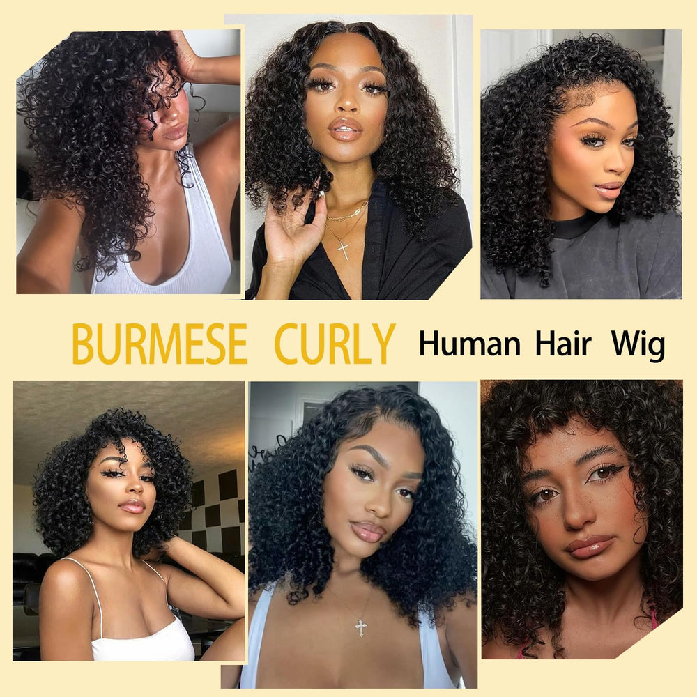 Amicalite bundles maintain uniform cuticle direction for smooth wear