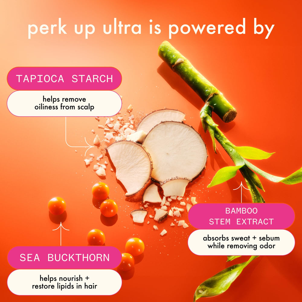 Amika Perk Up Ultra Dry Shampoo on hair roots highlighting oil removal.