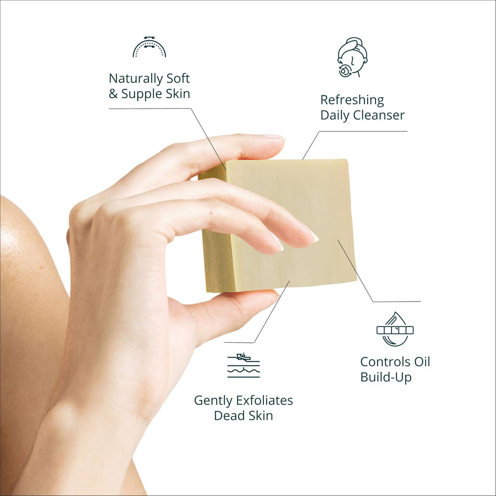 AnatoliaDaphne 12-pack display emphasizing value and family-friendly hydration.