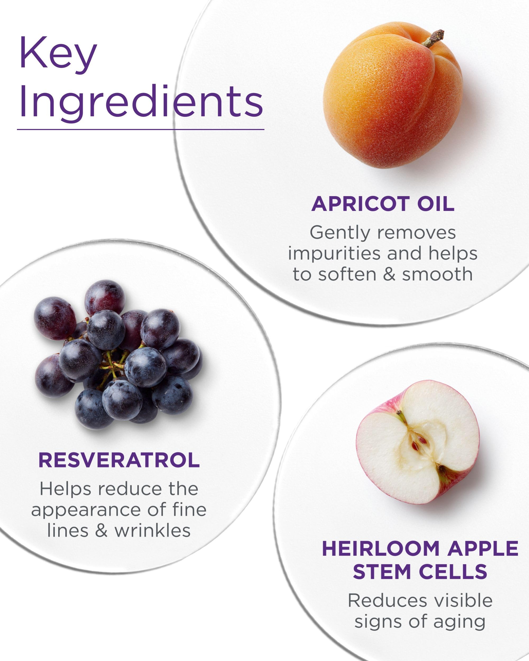 Andalou Naturales Probiotico Albaricoque Borage Aceites aporta nutrición a la piel.