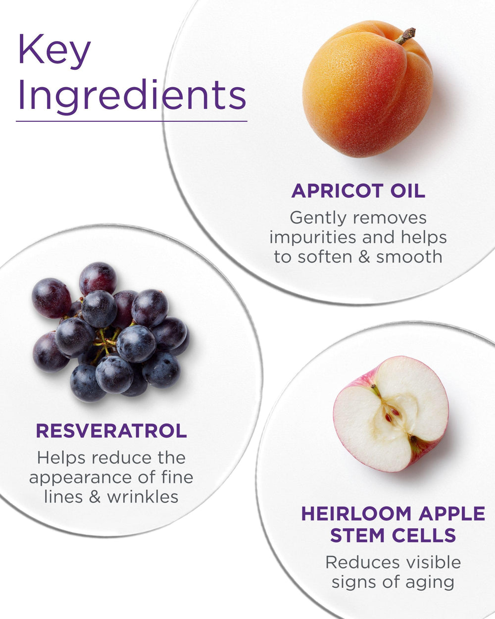 Andalou Naturales Probiotico Albaricoque Borage Aceites aporta nutrición a la piel.