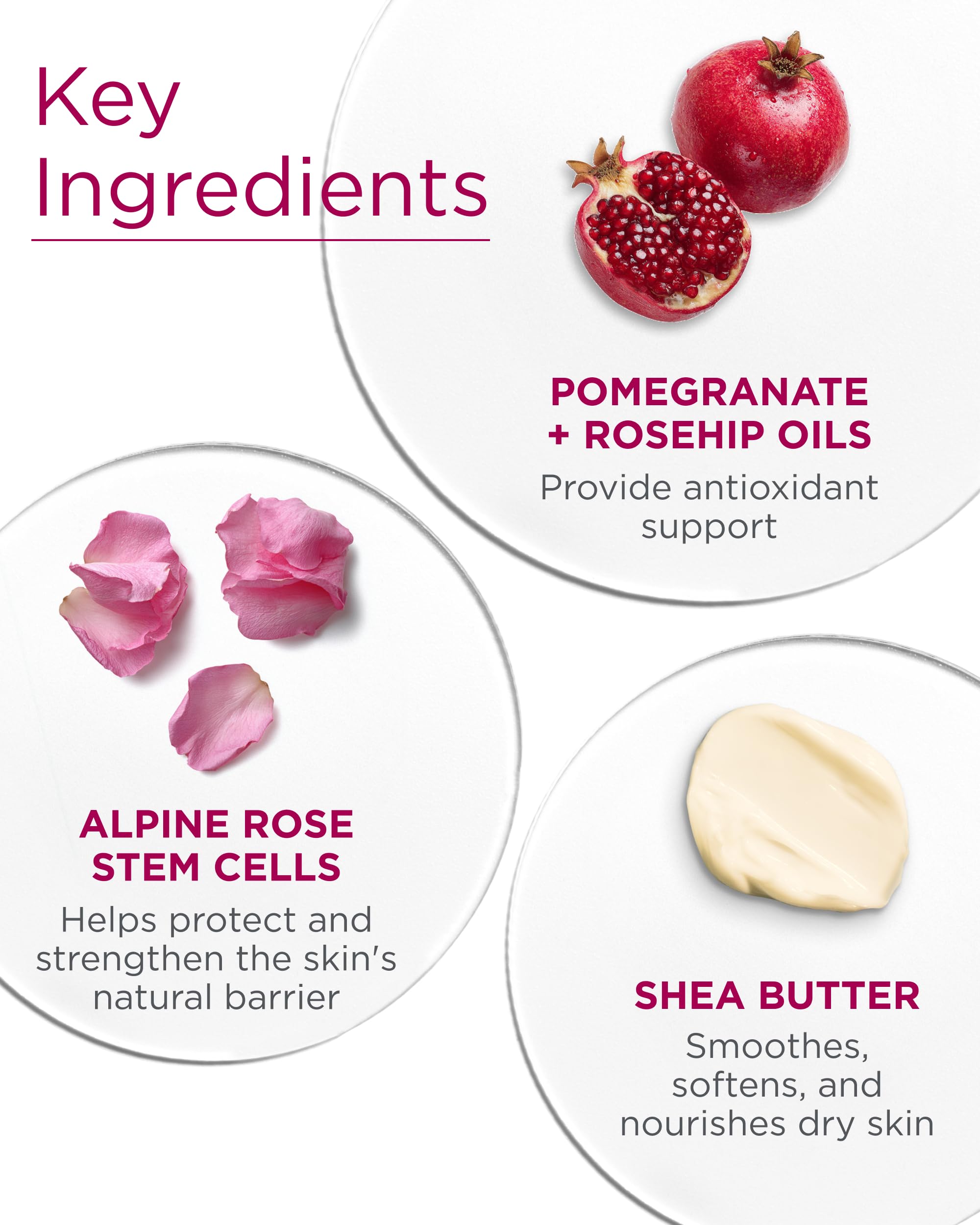 Andalou Naturals 1000 Roses lotion ingredients rosehip argan nourish skin softly