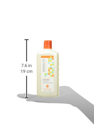 Andalou Naturals Champú Argán y Karité, extractos de fruta revitalizan el cuero cabelludo.