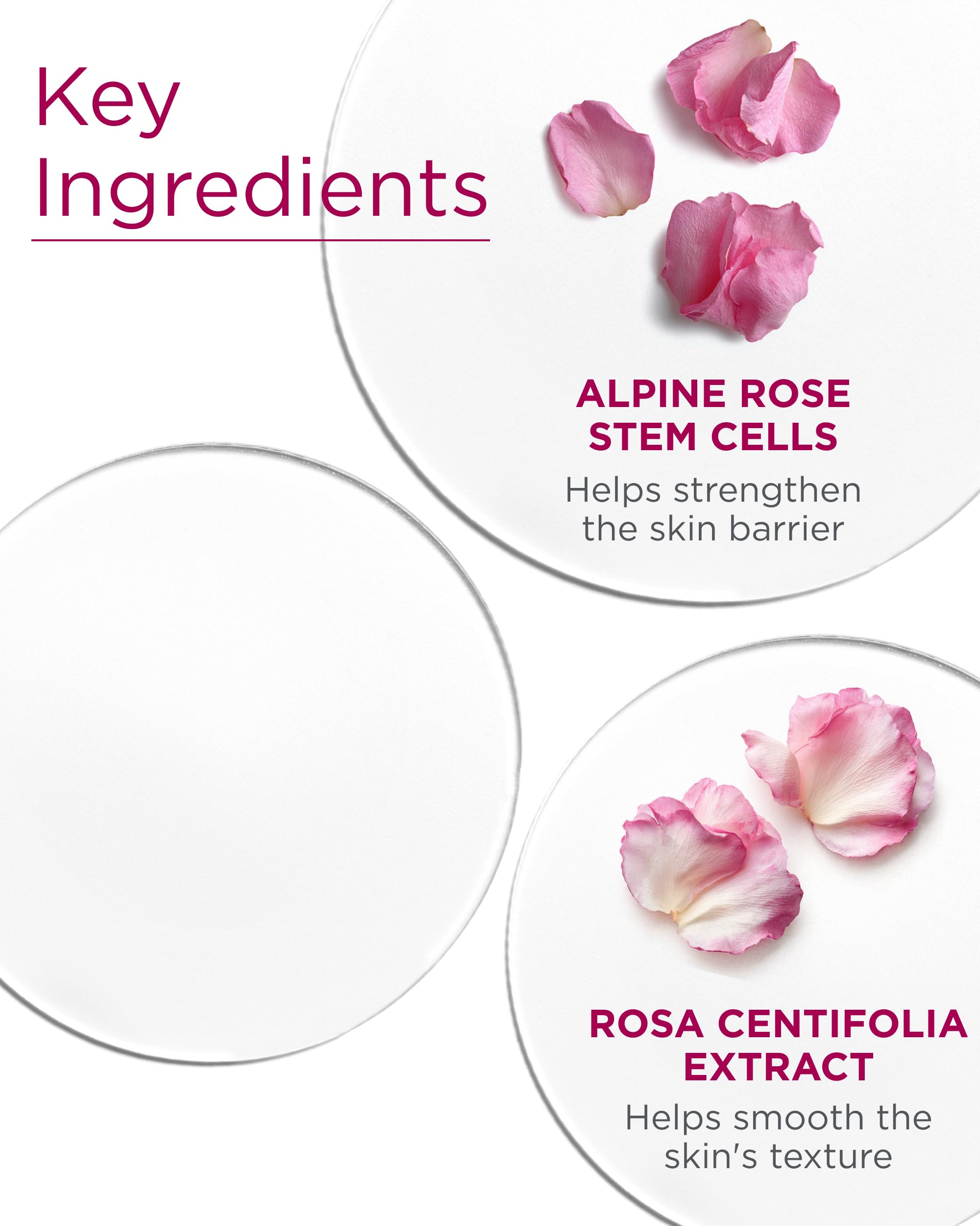 Andalou Naturals Crema Día Biome Equilibrante postbioticos que apoyan el microbioma.