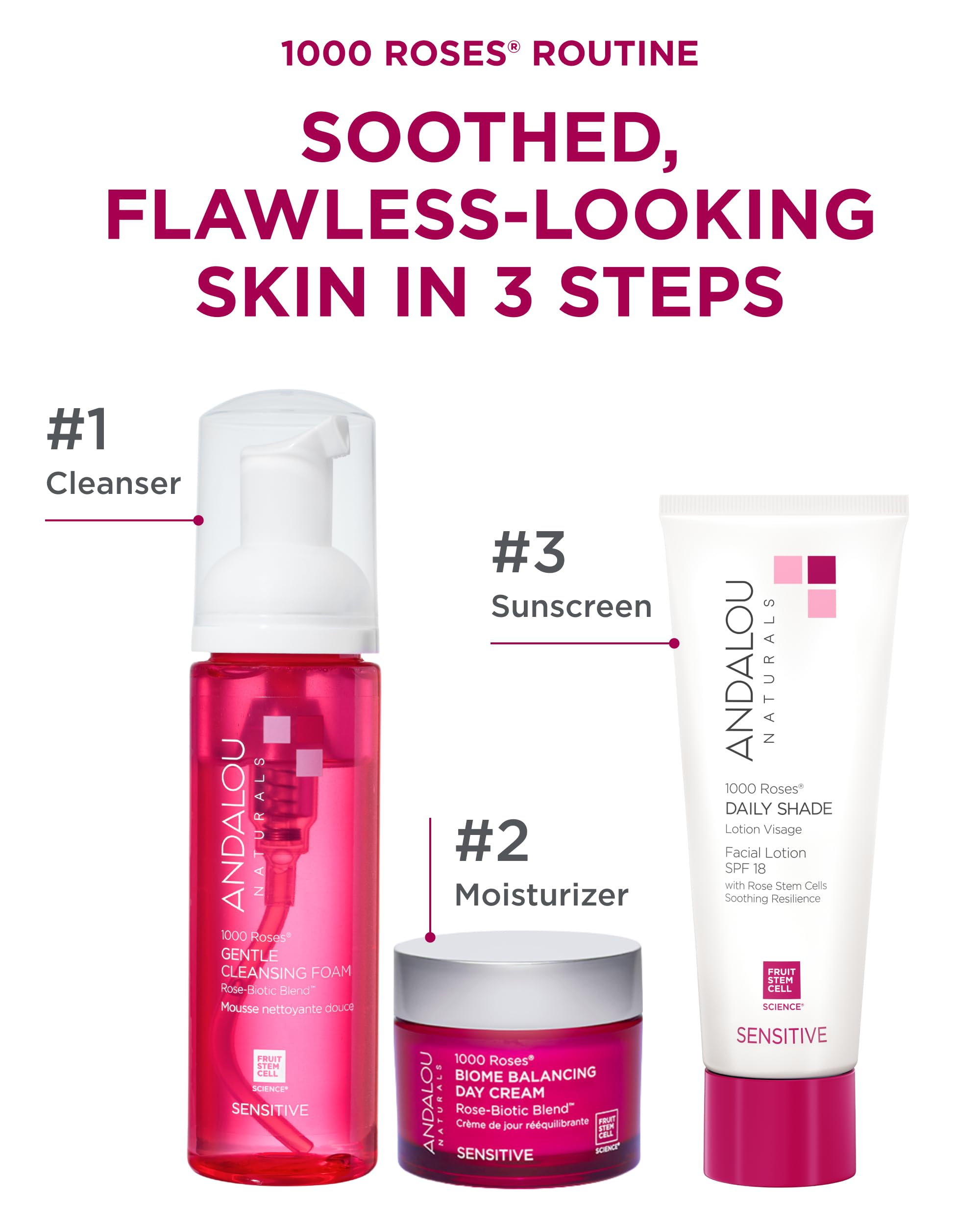 Rosas en primer plano, representación de ingredientes naturales de Andalou Naturals.