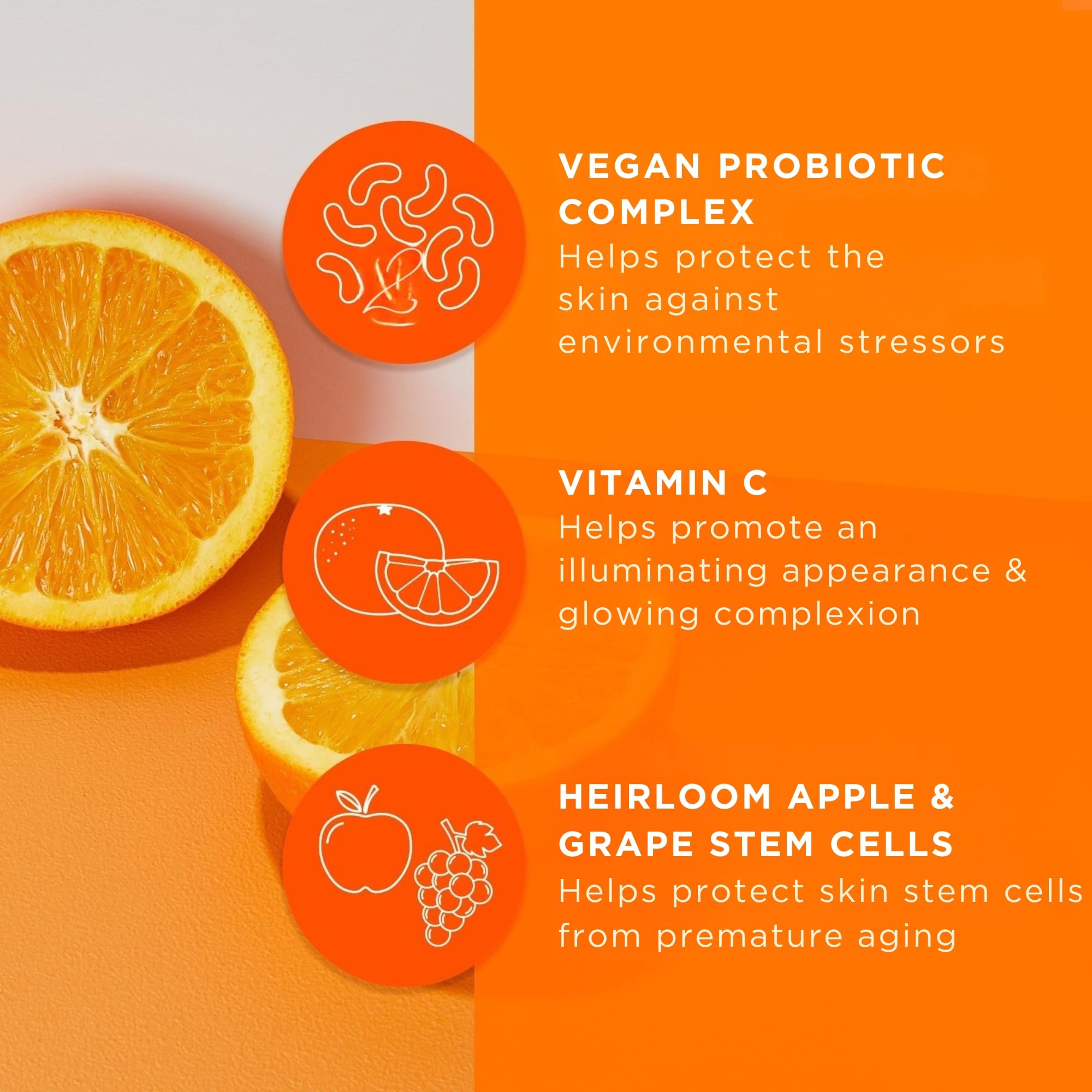 Andalou Naturals rutina facial de rápida absorción para piel fresca.