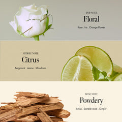 ANILLO Rosy Night hair-application demonstrates deep repair penetration on fibers.