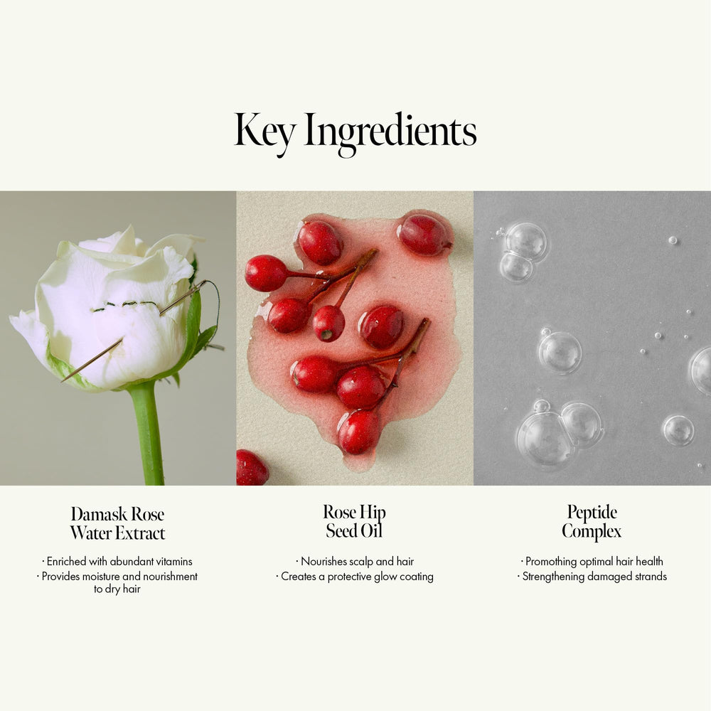 ANILLO Rosy Night texture-swatch reveals smooth liquid-to-cream feel.