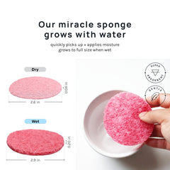 AOA Studio facial sponge with storage can for organized routines.