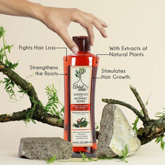 Arbol Verde Champú Natural, extractos naturales en primeros planos, cuida el cuero cabelludo