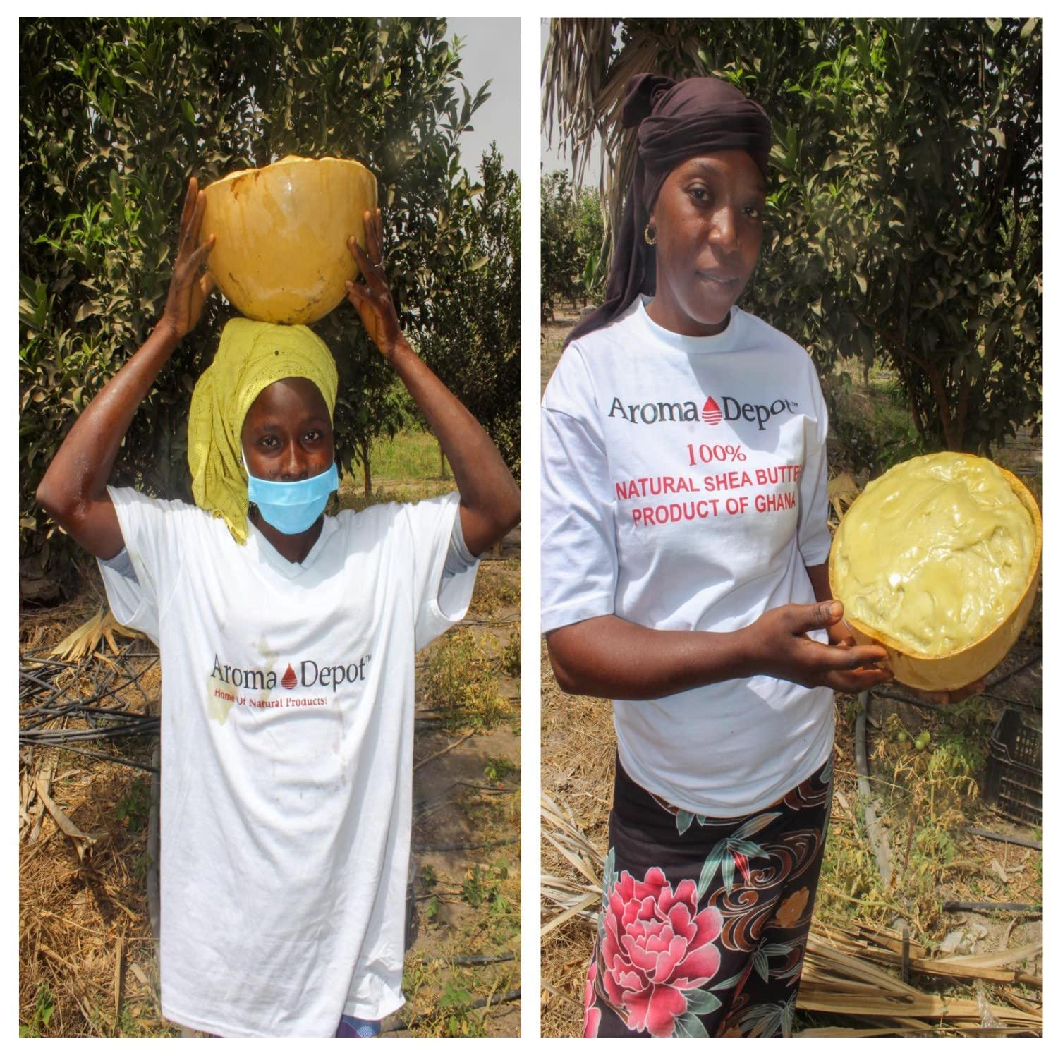Aroma Depot Shea Butter vegan-friendly skin care for ethical use.