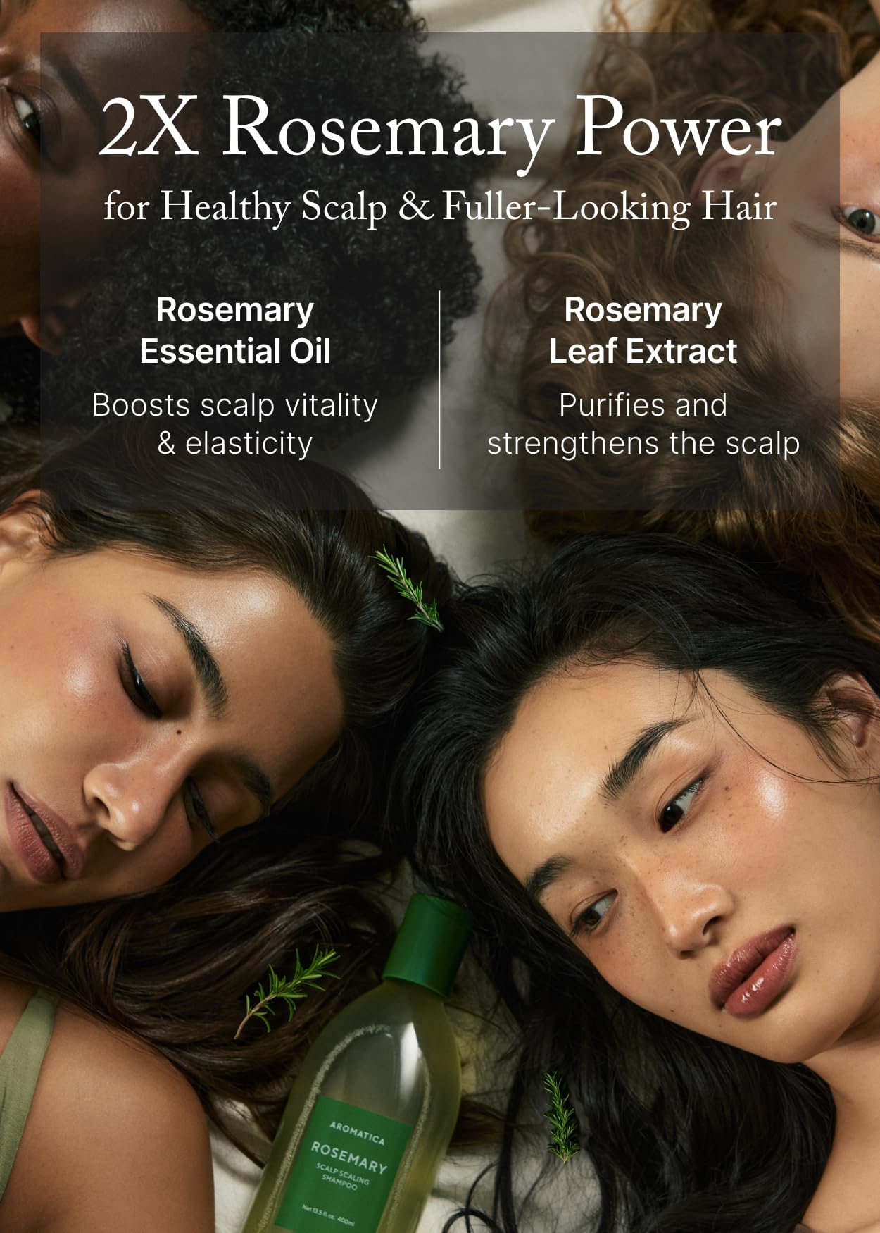 AROMATICA Rosemary Scalp Shampoo lather closeup highlights rich foam for cleansing