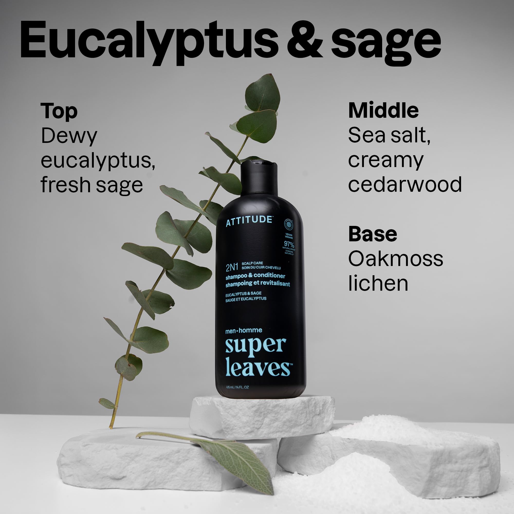 ATTITUDE 2in1 foamy lather suggests rich cleanse for scalp care