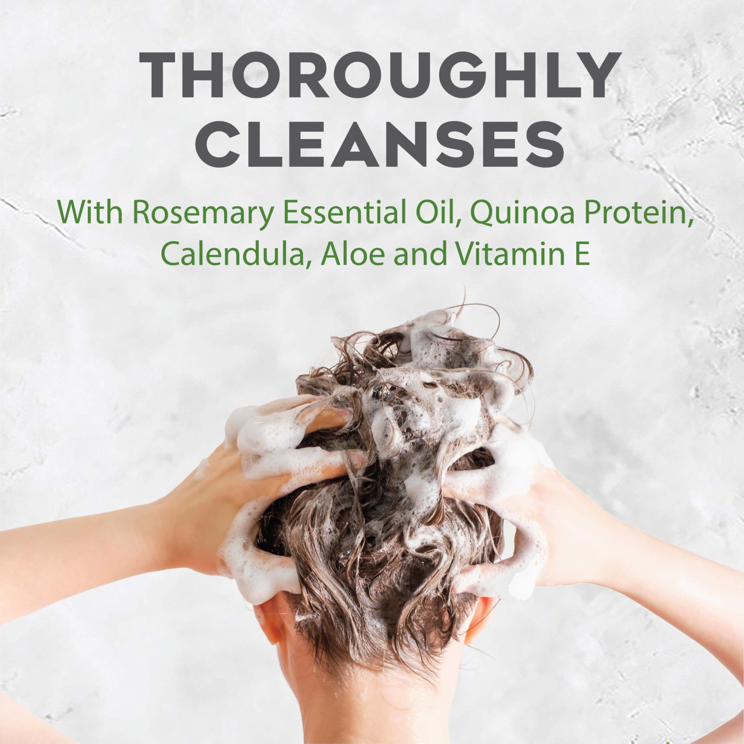 Avalon Organics champú voluminizador de romero, brillo natural gracias a nutrientes botánicos