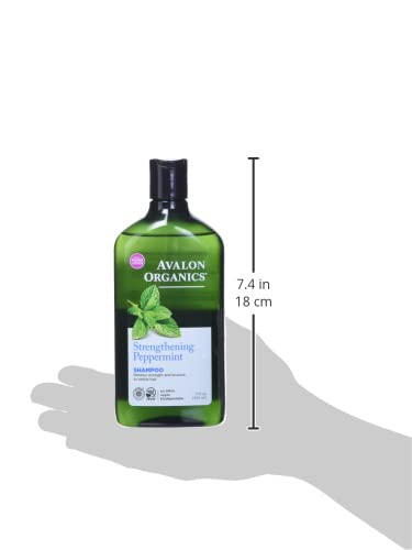 Aceite de menta y aroma vigorizante en champú Avalon Organics