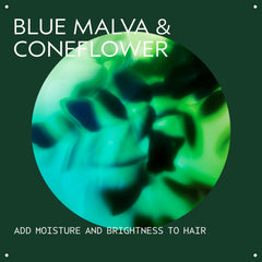 Aveda Blue Malva Color Conditioner close-up shows the creamy purple formula for brass neutralization