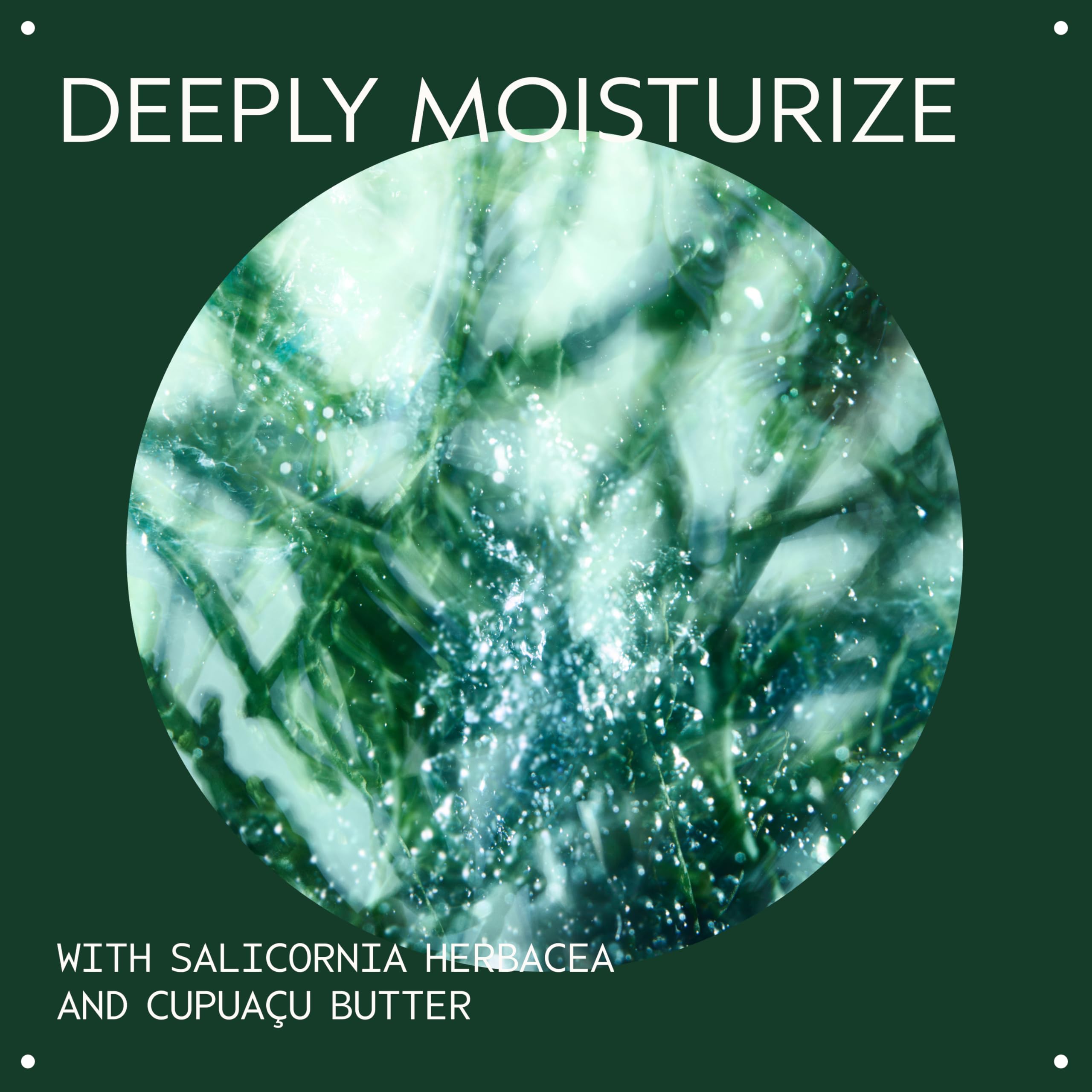 Salicornia herbacea ingredient highlighted for moisture absorption.