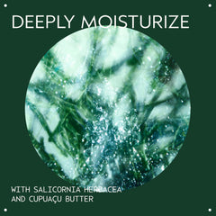 Salicornia herbacea ingredient highlighted for moisture absorption.