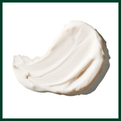Aveda Botanical Kinetics Salicornia herbacea moisture absorption feature shows natural hydration support.