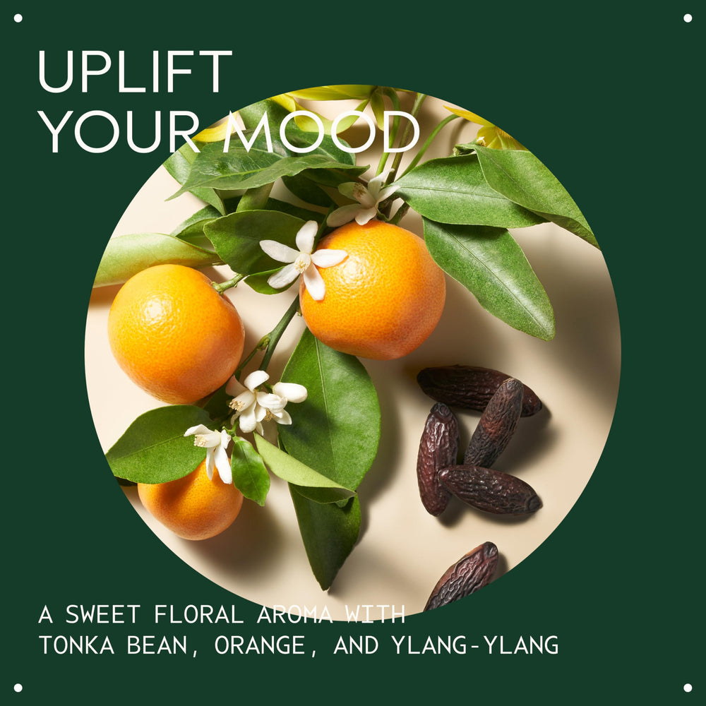 Aveda Cherry Almond aroma featuring tonka bean and orange for uplifting mood.